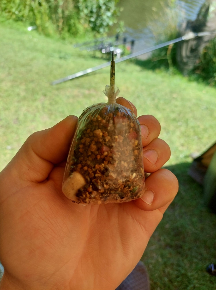 Recent Captures Image