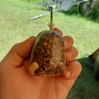 Recent Captures Image