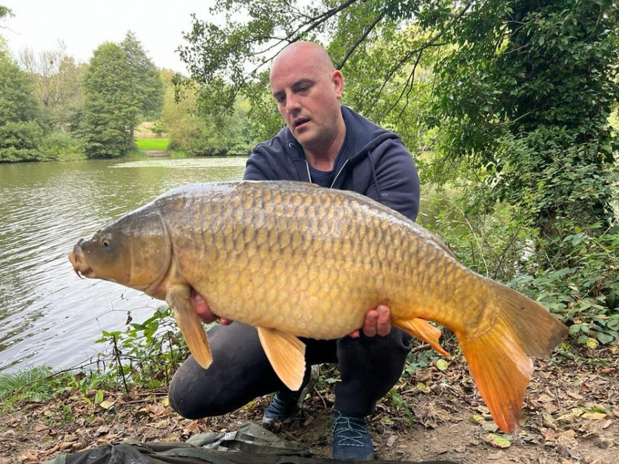 Recent Captures Image