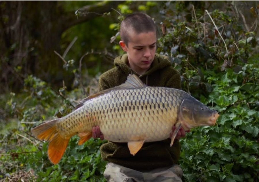 Recent Captures Image