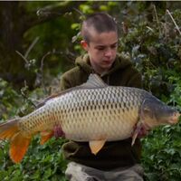 Recent Captures Image