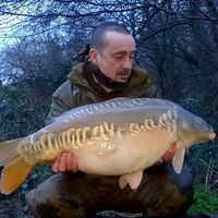 Recent Captures Image