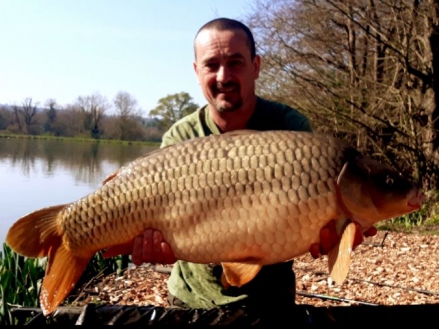 Recent Captures Image