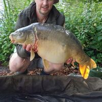 Recent Captures Image