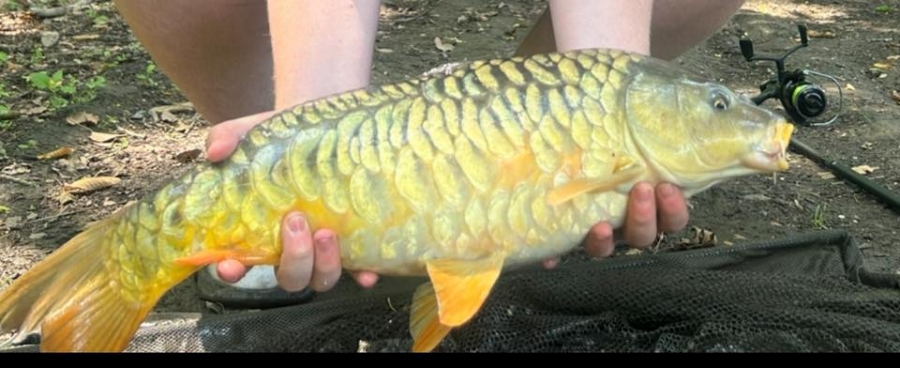 Recent Captures Image