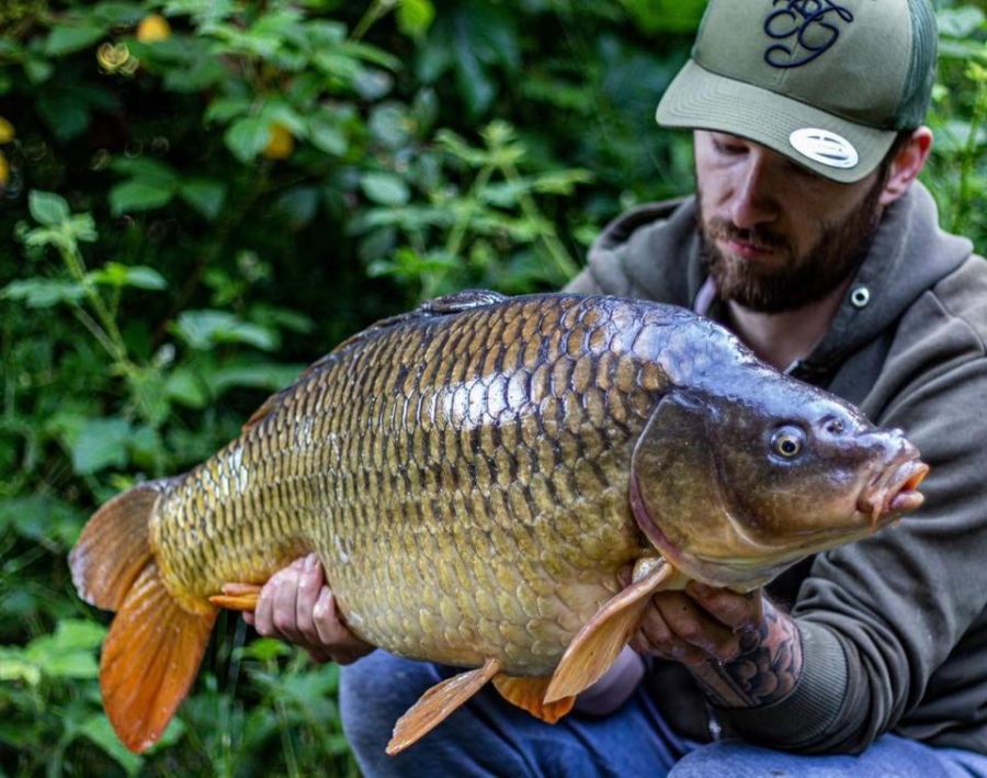 Recent Captures Image