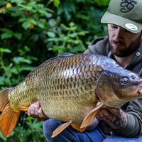 Recent Captures Image