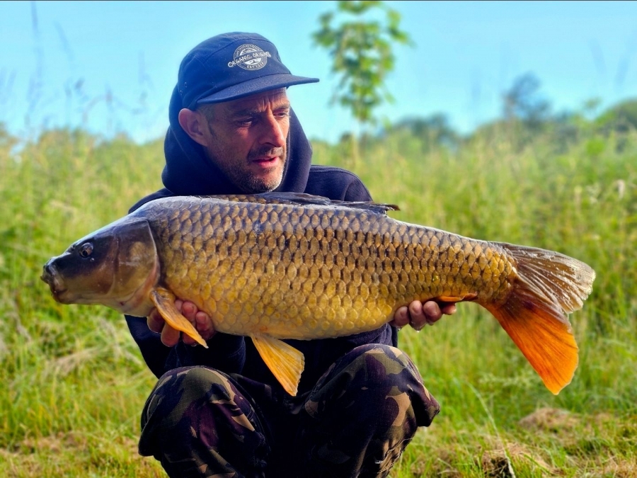 Recent Captures Image