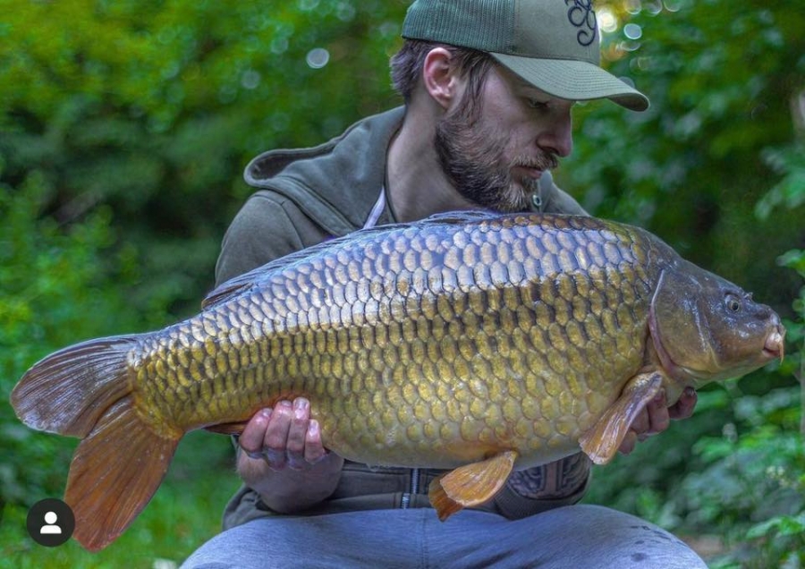 Recent Captures Image