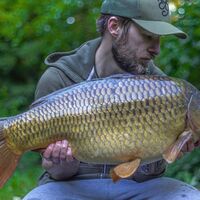 Recent Captures Image