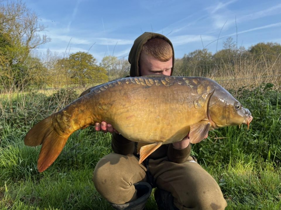 Recent Captures Image