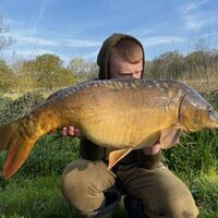 Recent Captures Image