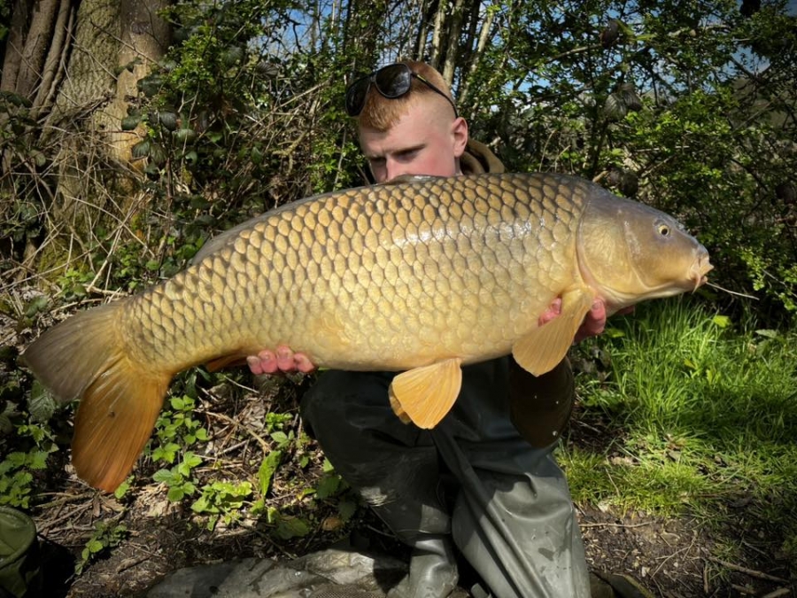 Recent Captures Image