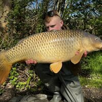 Recent Captures Image