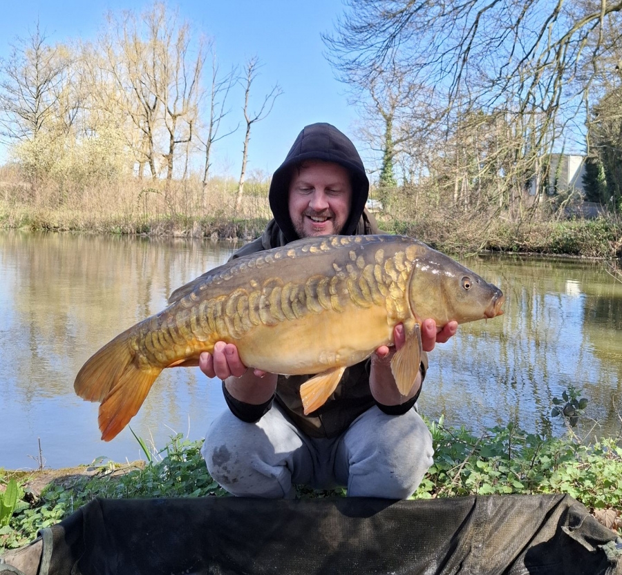 Recent Captures Image