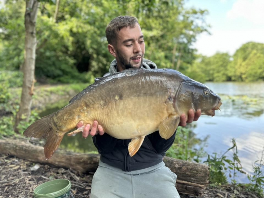 Recent Captures Image