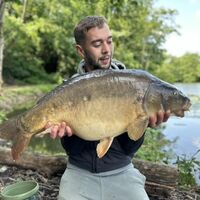 Recent Captures Image