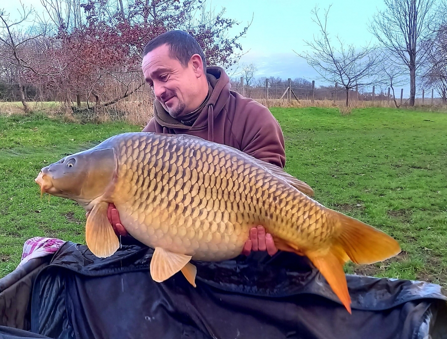 Recent Captures Image