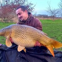 Recent Captures Image