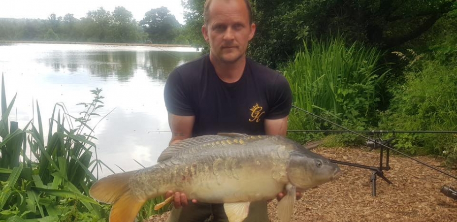 Recent Captures Image