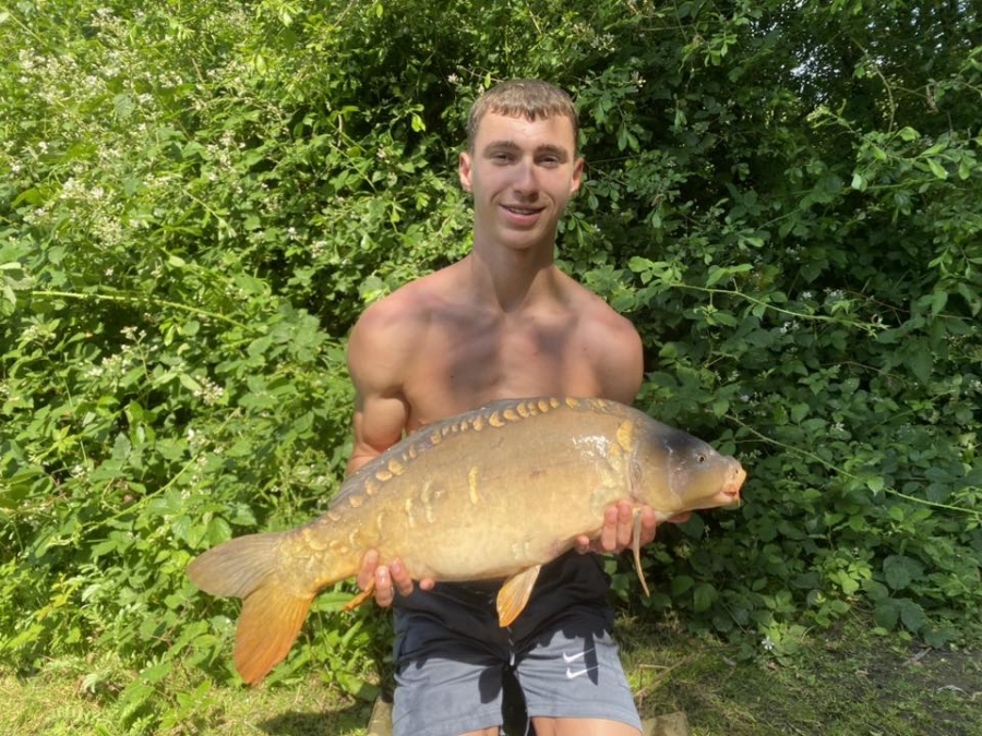 Recent Captures Image