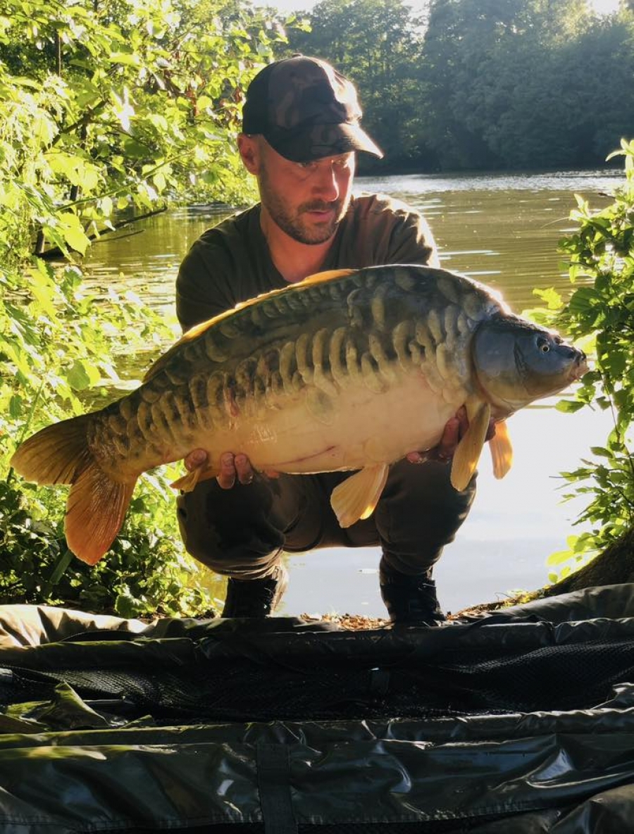 Recent Captures Image