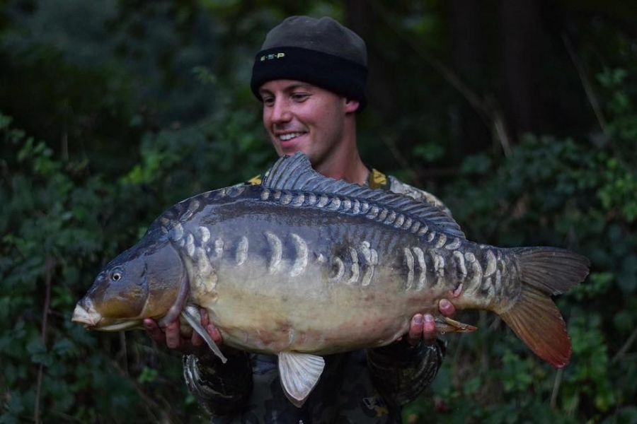 Recent Captures Image