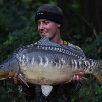 Recent Captures Image