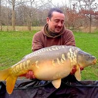 Recent Captures Image