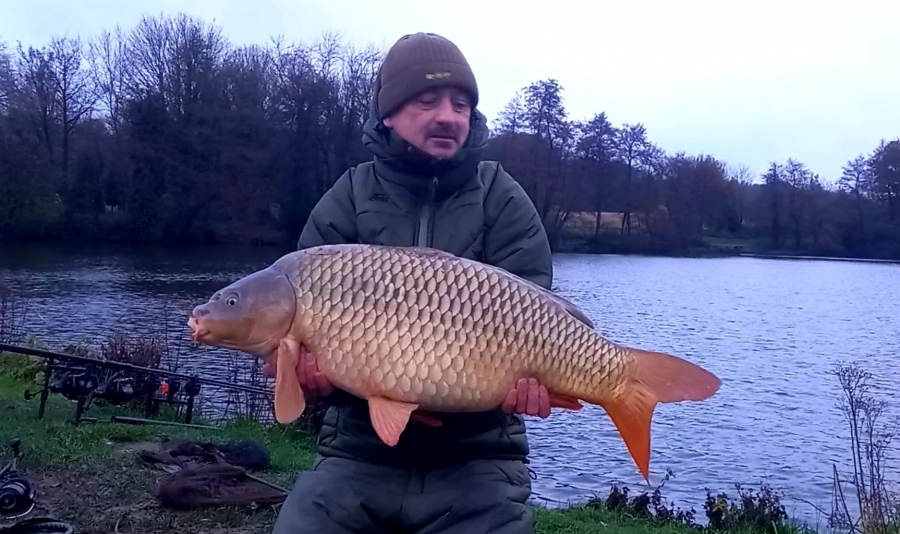 Recent Captures Image