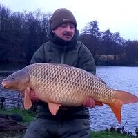 Recent Captures Image