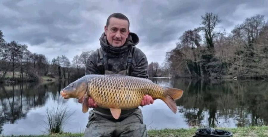 Recent Captures Image