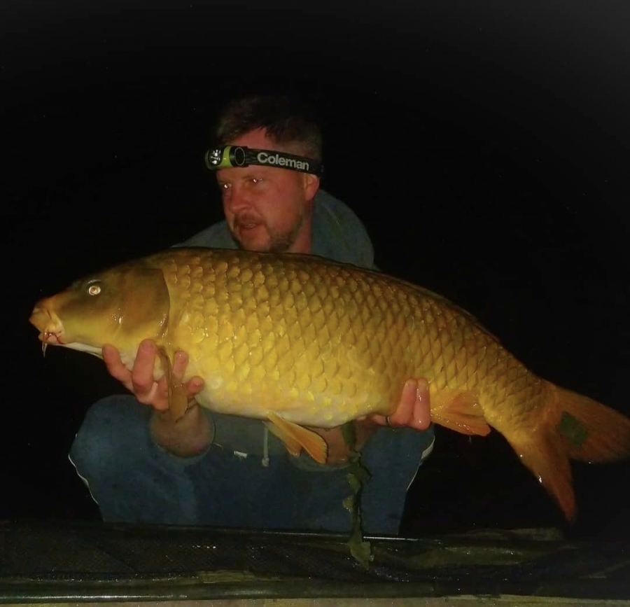 Recent Captures Image