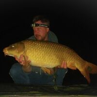 Recent Captures Image