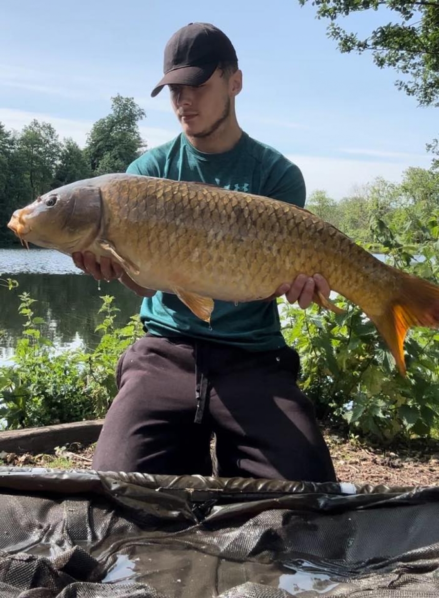 Recent Captures Image