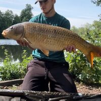 Recent Captures Image