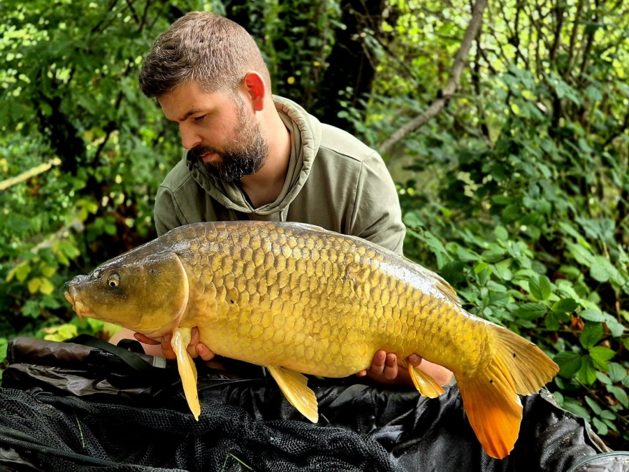 Recent Captures Image