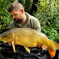 Recent Captures Image