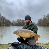 Recent Captures Image