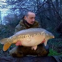 Recent Captures Image