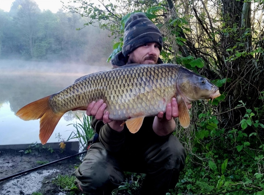 Recent Captures Image