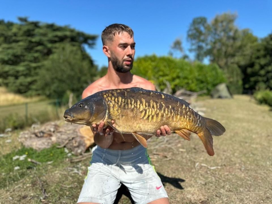 Recent Captures Image