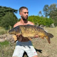 Recent Captures Image