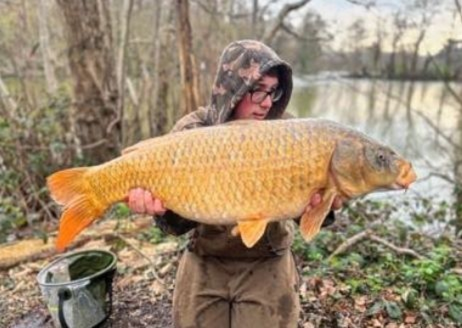 Recent Captures Image