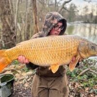 Recent Captures Image