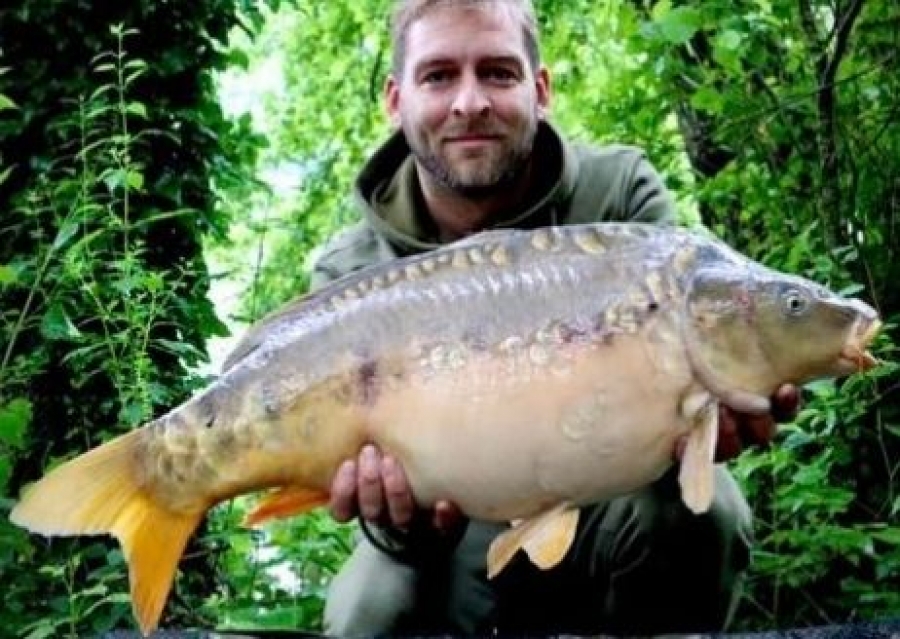 Recent Captures Image