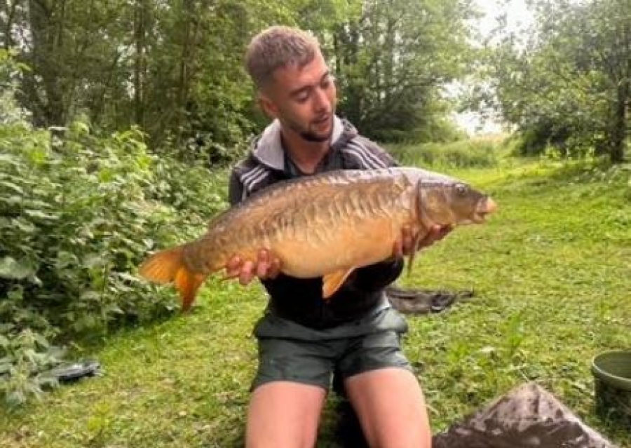 Recent Captures Image