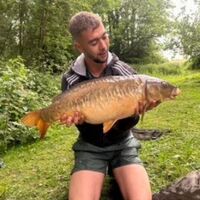 Recent Captures Image