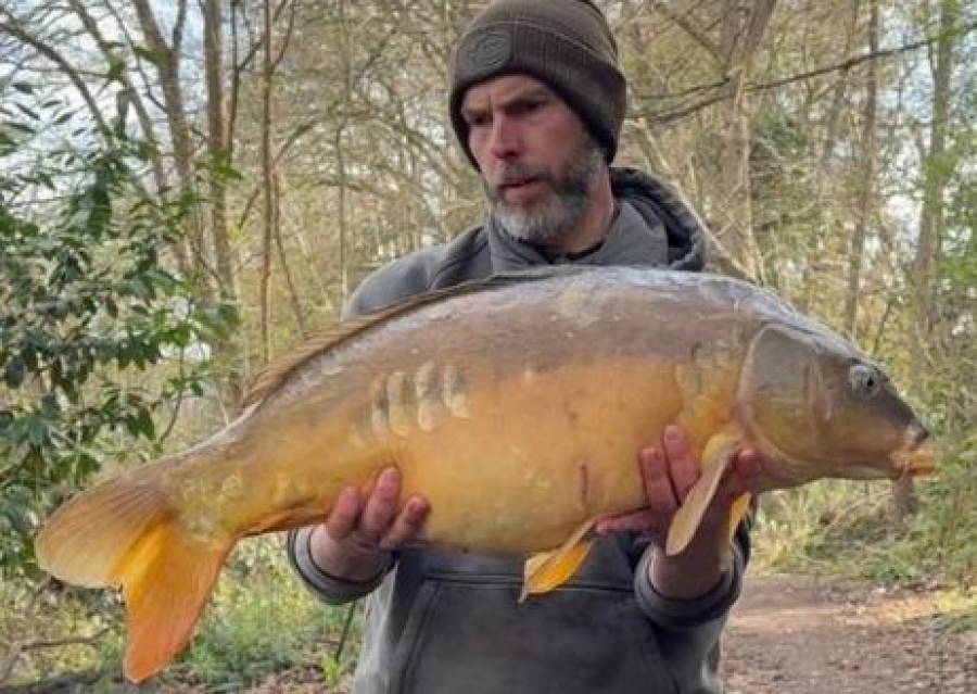 Recent Captures Image