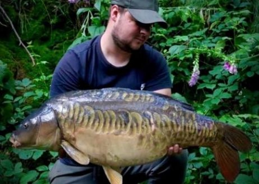 Recent Captures Image